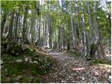 Stara Fužina - Planina Krstenica